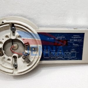 NTTANCOMPANY, LIMITED